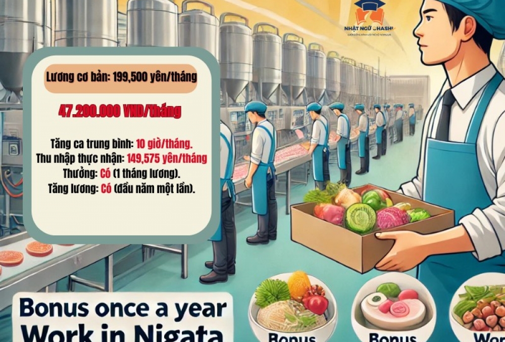 Đơn Hàng Chế Biến Thực Phẩm Tại Niigata – Lương Cơ Bản 199,500 Yên/Tháng, Thưởng 1 Tháng Lương Mỗi Năm style=