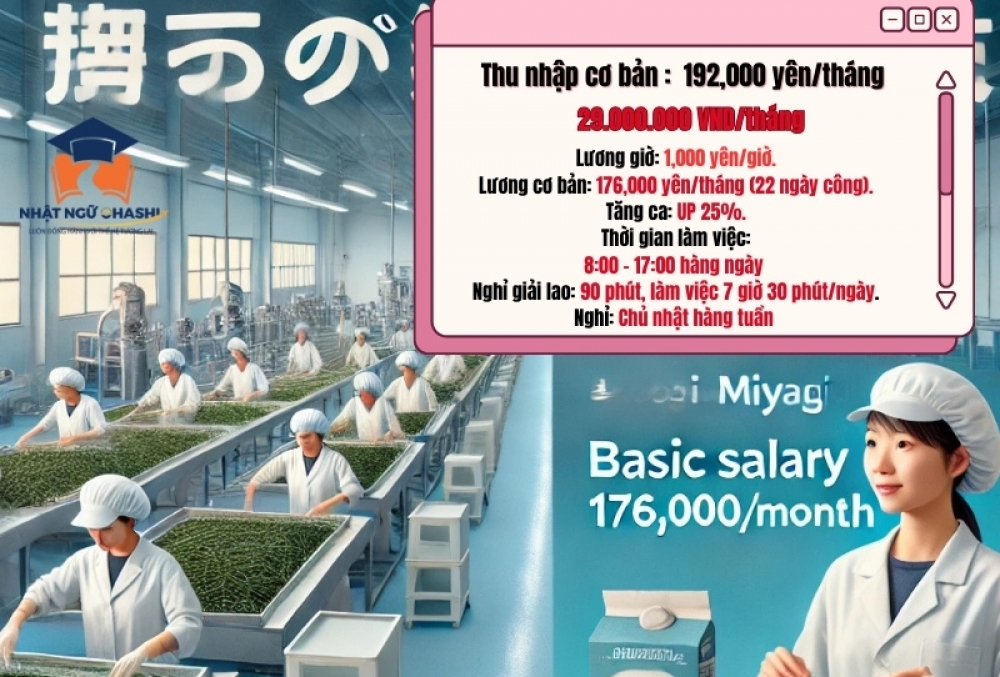 Đơn Hàng Chế Biến Thực Phẩm Tại Miyagi – Lương Cao, Ký Túc Xá Tiện Nghi, Tăng Ca Hấp Dẫn! style=