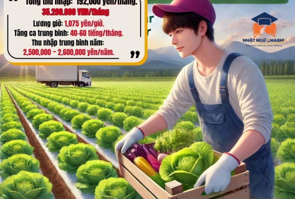 Đơn Hàng Nông Nghiệp Tại Ibaraki – Lương hấp dẫn, Tăng Ca Đều Đặn, Ổn Định Lâu Dài style=