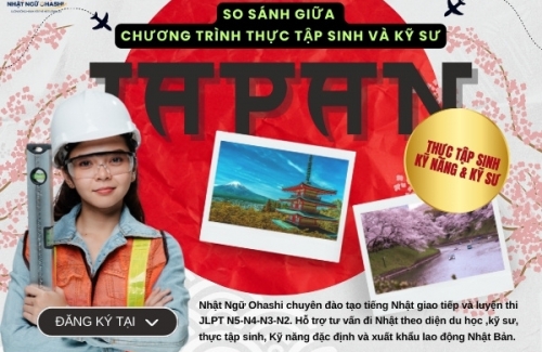 So Sánh Giữa Chương Trình Thực Tập Sinh Kỹ Năng Và Chương Trình Kỹ Sư style=