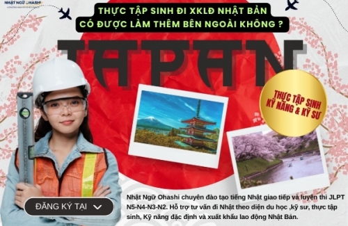 Thực tập sinh có được làm thêm bên ngoài khi đi Nhật Bản XKLĐ không? style=