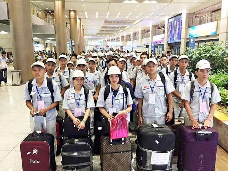 Nên chọn việc gì khi đi xuất khẩu lao động Nhật Bản