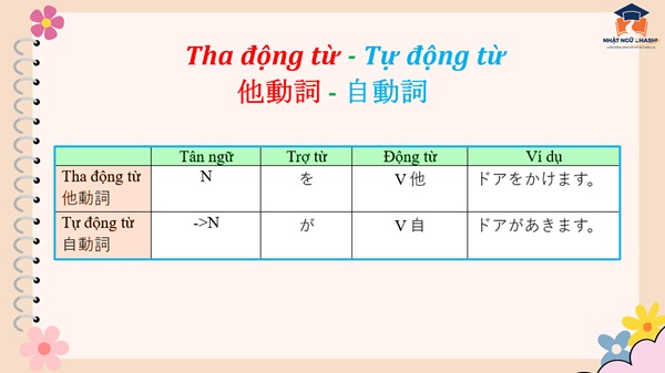 phan-biet-tu-dong-tu-tha-dong-tu