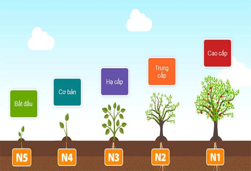 Nắm chắc tiếng Nhật N3: Tự tin giao tiếp và học tập tại Nhật Bản